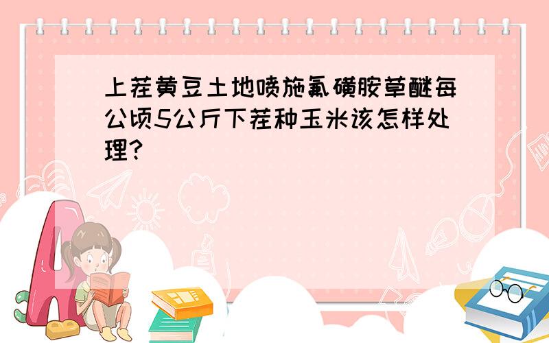 上茬黄豆土地喷施氟磺胺草醚每公顷5公斤下茬种玉米该怎样处理?