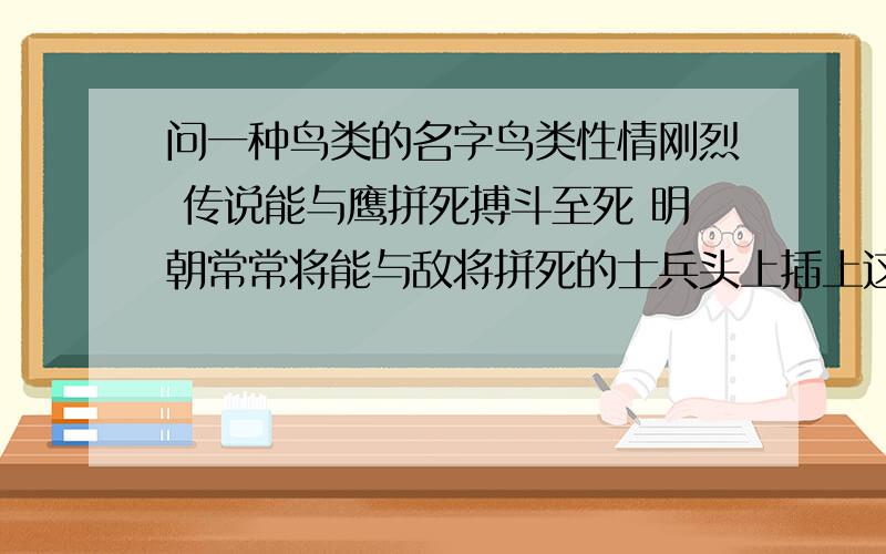 问一种鸟类的名字鸟类性情刚烈 传说能与鹰拼死搏斗至死 明朝常常将能与敌将拼死的士兵头上插上这种鸟的羽毛