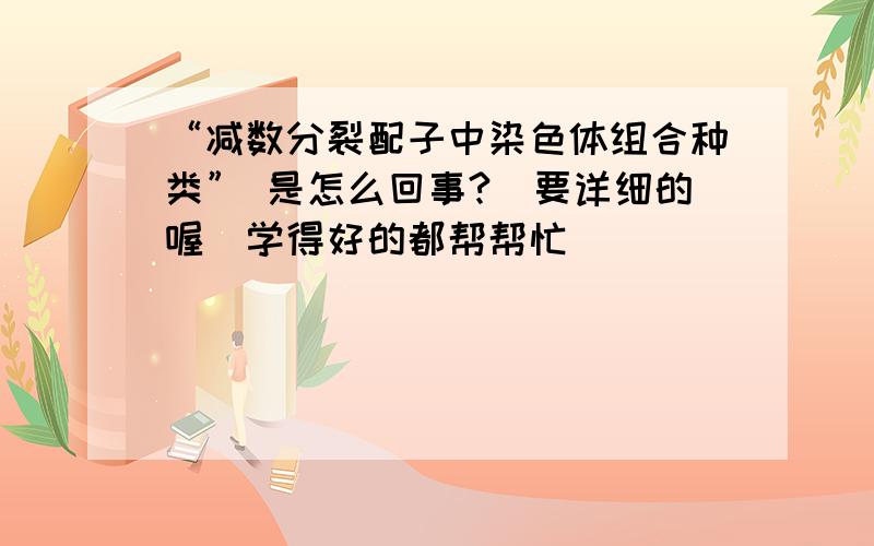 “减数分裂配子中染色体组合种类” 是怎么回事?（要详细的喔）学得好的都帮帮忙