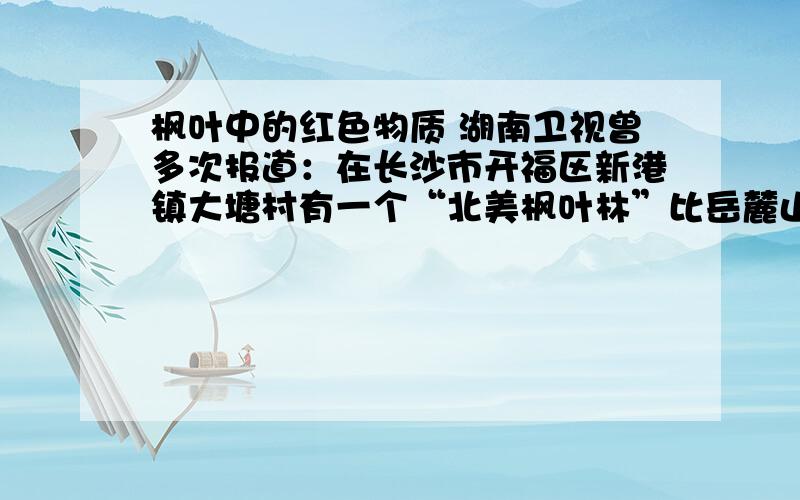 枫叶中的红色物质 湖南卫视曾多次报道：在长沙市开福区新港镇大塘村有一个“北美枫叶林”比岳麓山面积大,叶更红.枫叶中的红色物质主要存在于（ ）A.细胞壁 B.细胞膜 C.细胞质 D.细胞核