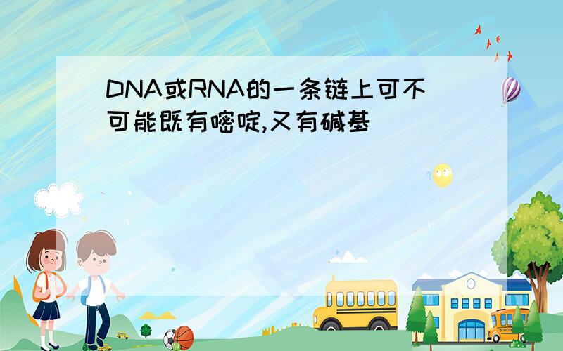 DNA或RNA的一条链上可不可能既有嘧啶,又有碱基