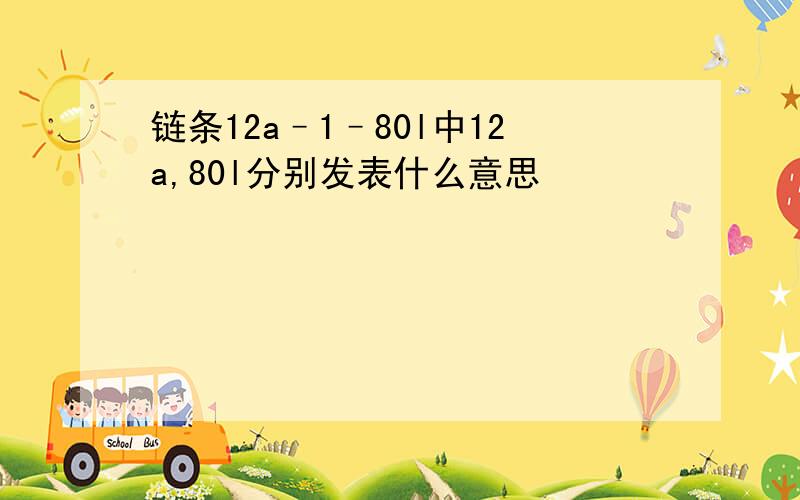 链条12a–1–80l中12a,80l分别发表什么意思