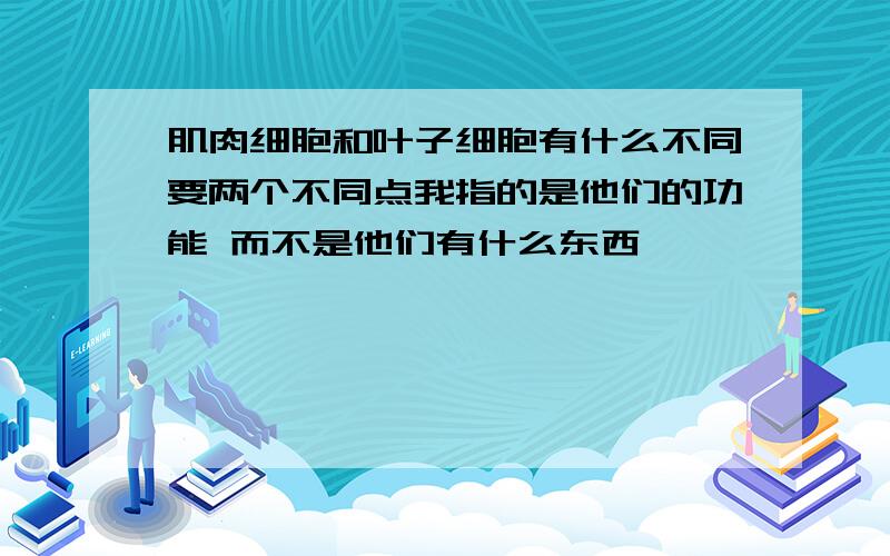 肌肉细胞和叶子细胞有什么不同要两个不同点我指的是他们的功能 而不是他们有什么东西