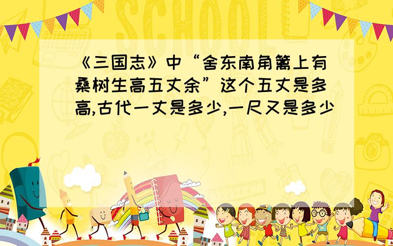 《三国志》中“舍东南角篱上有桑树生高五丈余”这个五丈是多高,古代一丈是多少,一尺又是多少