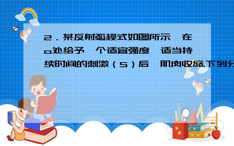 2．某反射弧模式如图所示,在a处给予一个适宜强度、适当持续时间的刺激（S）后,肌肉收缩.下列分析正确的是(  )A．给予刺激S以前,a处质膜上没有Na+、K+进出B．a点与肌肉的距离越近,给予刺激