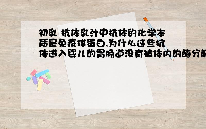 初乳 抗体乳汁中抗体的化学本质是免疫球蛋白,为什么这些抗体进入婴儿的胃肠道没有被体内的酶分解掉?