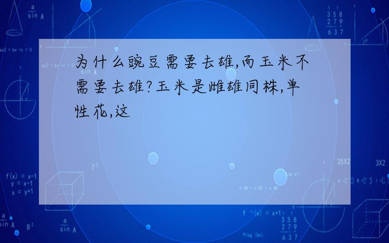 为什么豌豆需要去雄,而玉米不需要去雄?玉米是雌雄同株,单性花,这