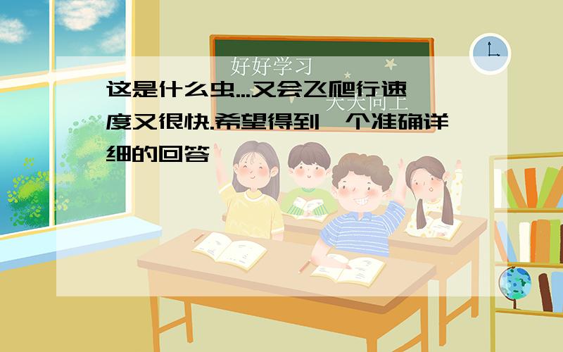 这是什么虫...又会飞爬行速度又很快.希望得到一个准确详细的回答