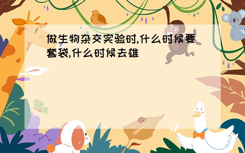 做生物杂交实验时,什么时候要套袋,什么时候去雄