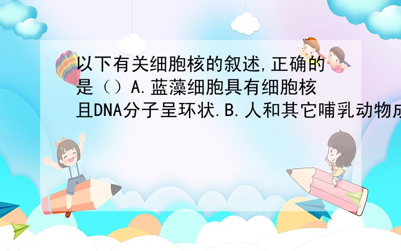 以下有关细胞核的叙述,正确的是（）A.蓝藻细胞具有细胞核且DNA分子呈环状.B.人和其它哺乳动物成熟的红细胞是没有细胞核的.C.动植物体细胞的细胞核只有一个.D.细胞核是进行能量转换和代