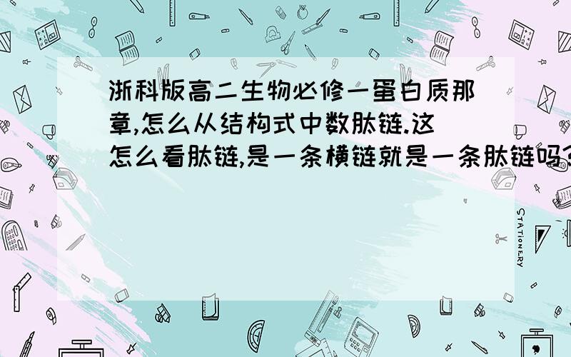 浙科版高二生物必修一蛋白质那章,怎么从结构式中数肽链.这怎么看肽链,是一条横链就是一条肽链吗?