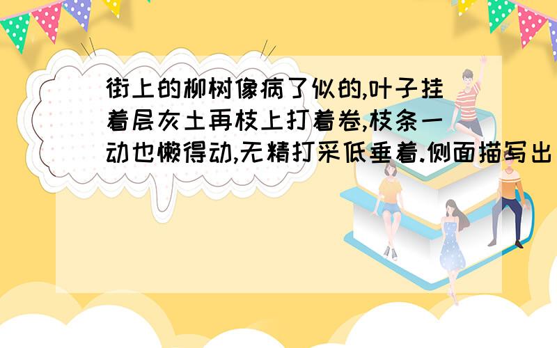 街上的柳树像病了似的,叶子挂着层灰土再枝上打着卷,枝条一动也懒得动,无精打采低垂着.侧面描写出了--.侧面描写了（）.