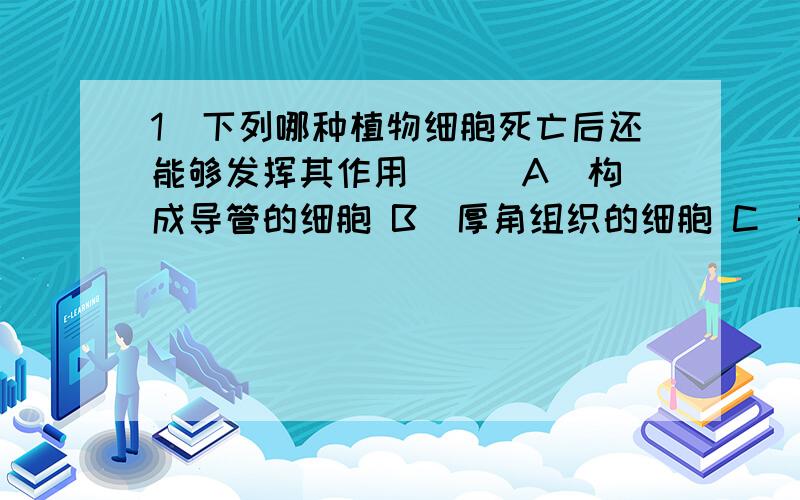 1．下列哪种植物细胞死亡后还能够发挥其作用（ ） A．构成导管的细胞 B．厚角组织的细胞 C．形成层的细胞 D．构成导管和筛管的细胞 为什么不选C暗暗啊为什么不选B？