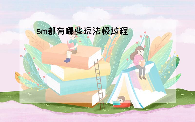 sm都有哪些玩法极过程