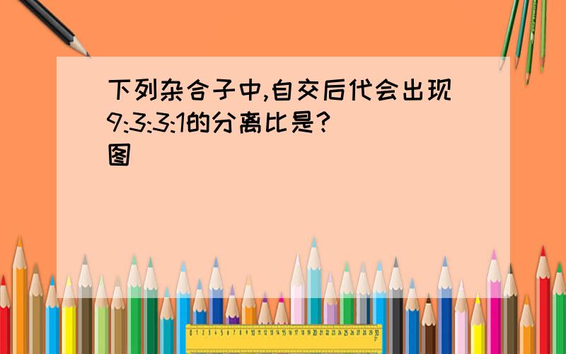 下列杂合子中,自交后代会出现9:3:3:1的分离比是?(图)