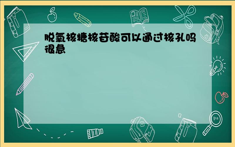 脱氧核糖核苷酸可以通过核孔吗很急