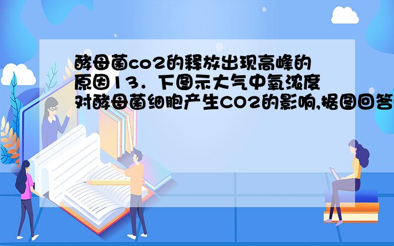 酵母菌co2的释放出现高峰的原因13．下图示大气中氧浓度对酵母菌细胞产生CO2的影响,据图回答①A点酵母菌细胞为什么能产生较多的CO2②为什么由A到B,CO2产生越来越少.③为什么由B到C,CO2出现