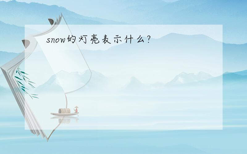 snow的灯亮表示什么?