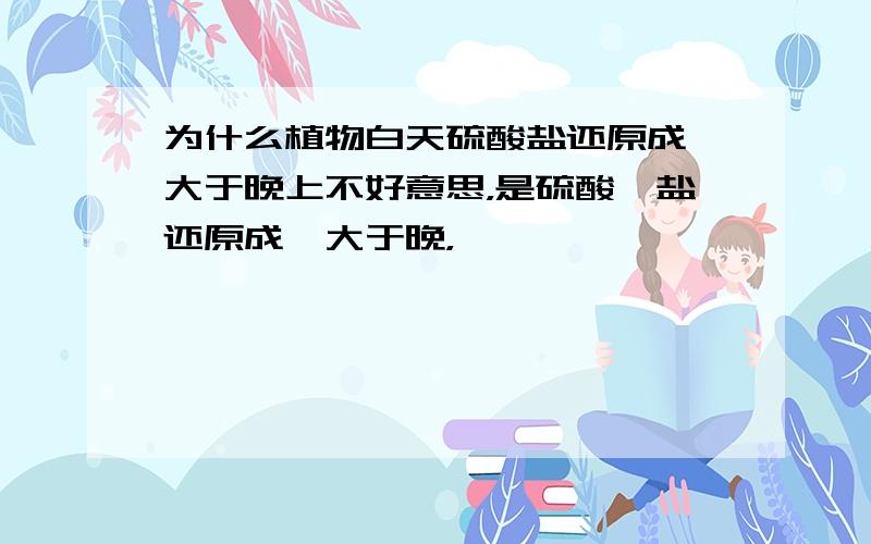 为什么植物白天硫酸盐还原成铵大于晚上不好意思，是硫酸铵盐还原成铵大于晚，