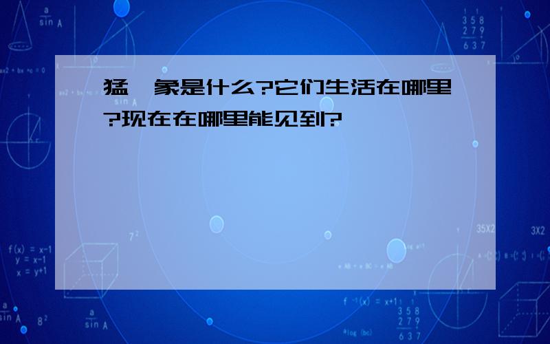 猛犸象是什么?它们生活在哪里?现在在哪里能见到?