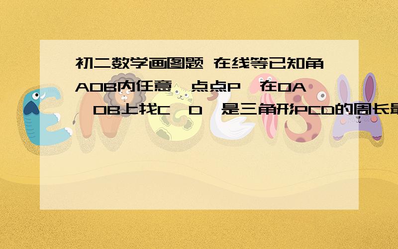 初二数学画图题 在线等已知角AOB内任意一点点P,在OA,OB上找C,D,是三角形PCD的周长最小.理由理由理由理由理由理由理由理由理由理由理由理由理由理由理由