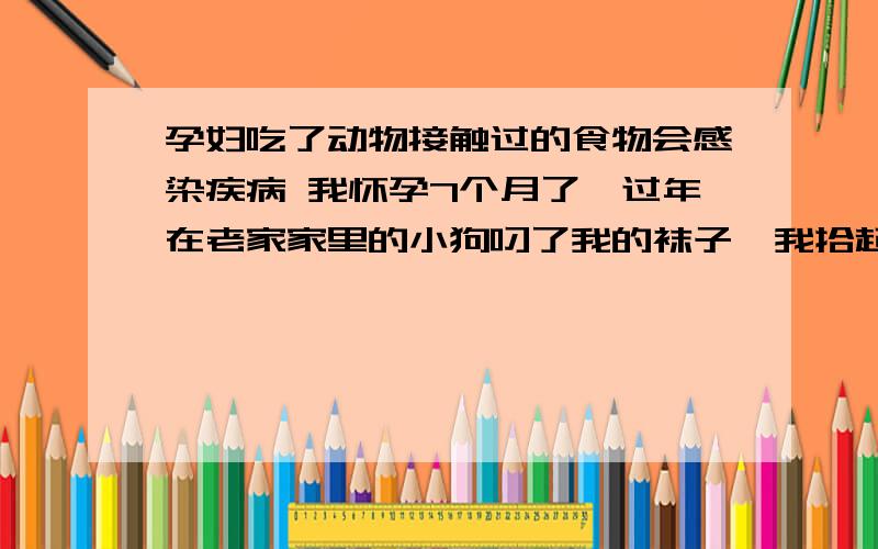 孕妇吃了动物接触过的食物会感染疾病 我怀孕7个月了,过年在老家家里的小狗叼了我的袜子,我拾起袜子后痛骂小狗一顿,小姑子为了给我消气,递给我一个橘子,我情急下忘了洗手就吃了,事后