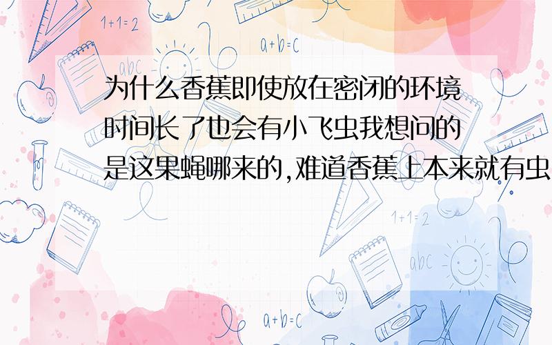 为什么香蕉即使放在密闭的环境时间长了也会有小飞虫我想问的是这果蝇哪来的,难道香蕉上本来就有虫卵?