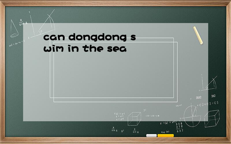 can dongdong swim in the sea