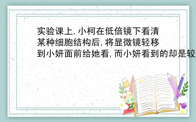 实验课上,小柯在低倍镜下看清某种细胞结构后,将显微镜轻移到小妍面前给她看,而小妍看到的却是较暗的视野,她首先应操作的是A．目镜B.物镜转换嚣C．反光镜D．粗准焦螺旋为什么?