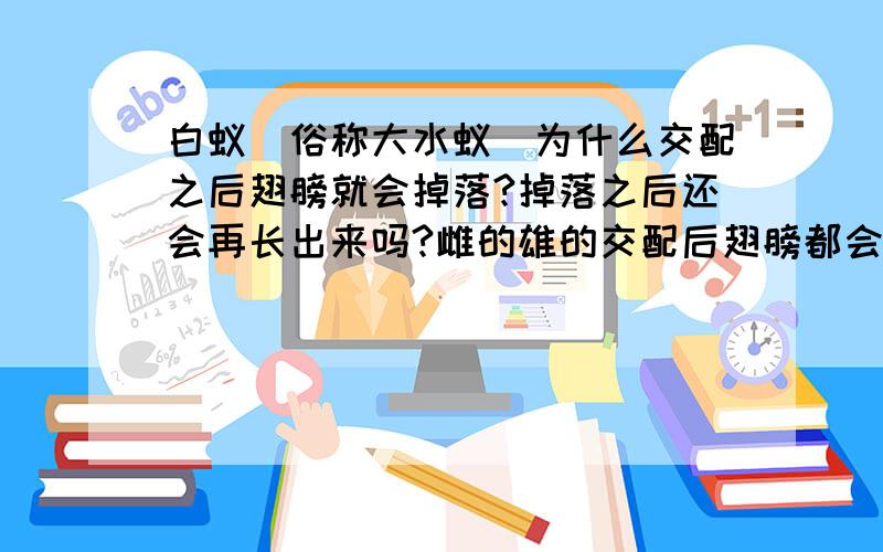 白蚁（俗称大水蚁）为什么交配之后翅膀就会掉落?掉落之后还会再长出来吗?雌的雄的交配后翅膀都会掉落吗?