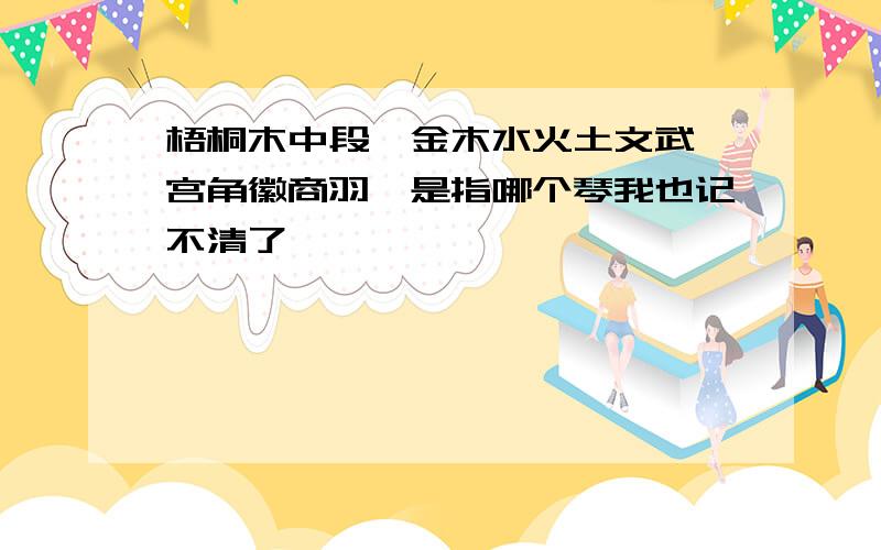 梧桐木中段、金木水火土文武,宫角徽商羽,是指哪个琴我也记不清了