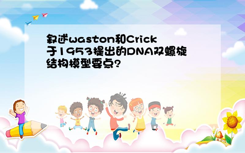 叙述waston和Crick于1953提出的DNA双螺旋结构模型要点?