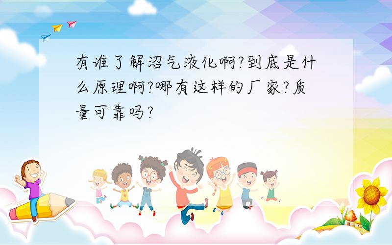 有谁了解沼气液化啊?到底是什么原理啊?哪有这样的厂家?质量可靠吗?