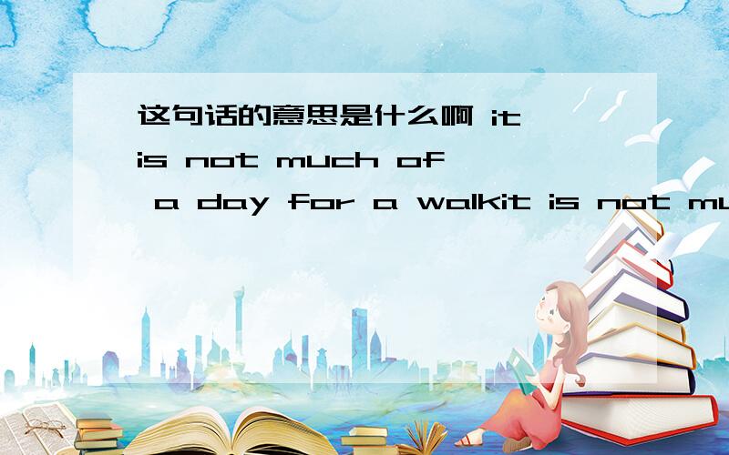 这句话的意思是什么啊 it is not much of a day for a walkit is not much of a day for a walk这句话的意思是什么啊