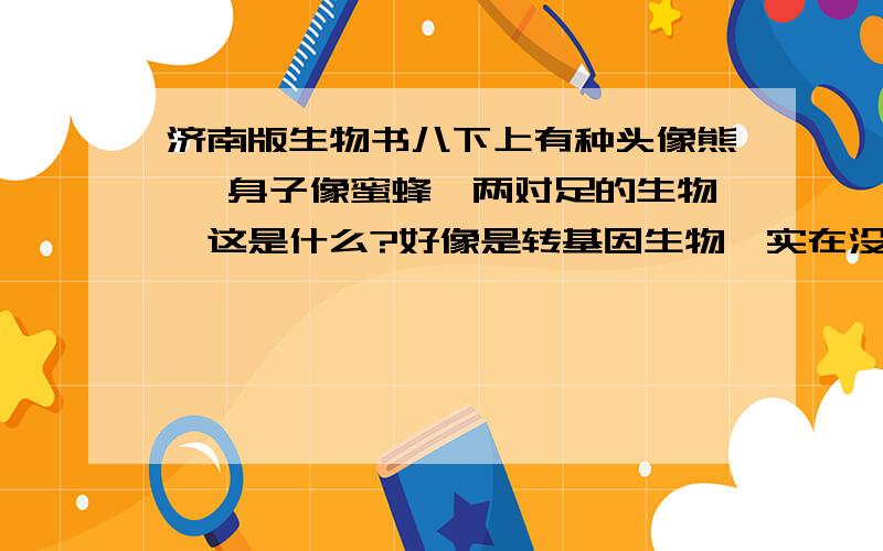 济南版生物书八下上有种头像熊 ,身子像蜜蜂,两对足的生物,这是什么?好像是转基因生物,实在没见过.