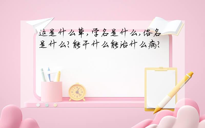 这是什么草,学名是什么,俗名是什么?能干什么能治什么病?