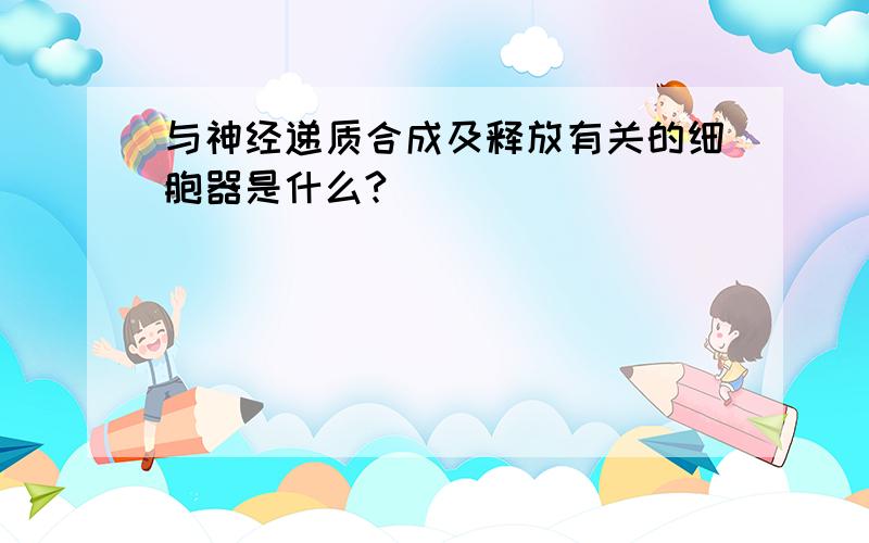 与神经递质合成及释放有关的细胞器是什么?