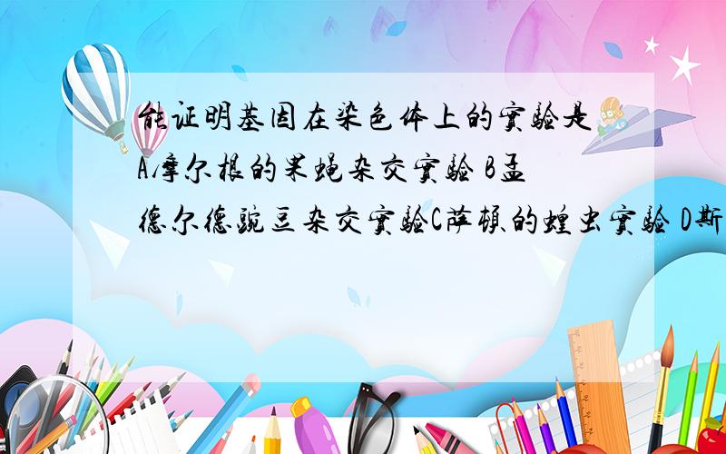 能证明基因在染色体上的实验是A摩尔根的果蝇杂交实验 B孟德尔德豌豆杂交实验C萨顿的蝗虫实验 D斯图尔德的胡萝卜体细胞全能性实验解释下为什么