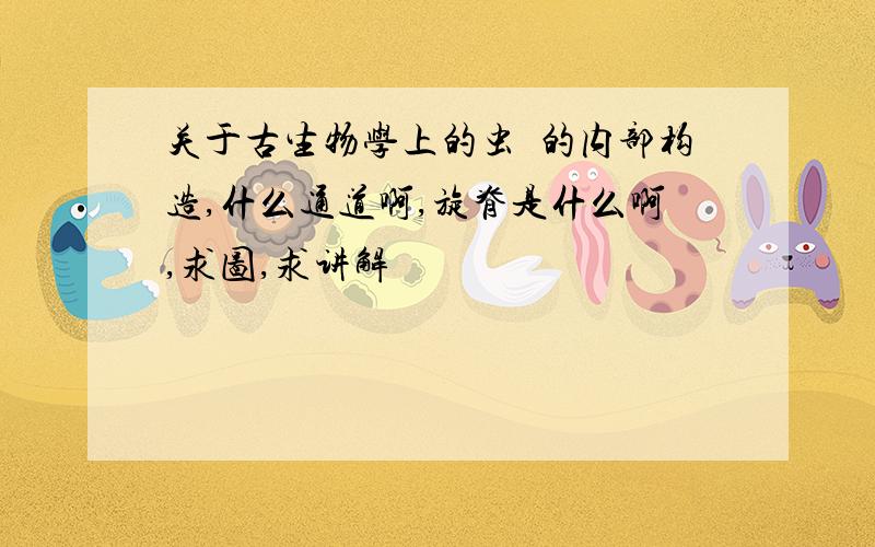 关于古生物学上的虫筳的内部构造,什么通道啊,旋脊是什么啊,求图,求讲解