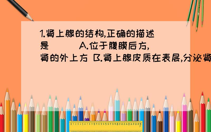 1.肾上腺的结构,正确的描述是（ ） A.位于腹膜后方,肾的外上方 B.肾上腺皮质在表层,分泌肾上腺素 C.1.肾上腺的结构,正确的描述是（ ） A.位于腹膜后方,肾的外上方B.肾上腺皮质在表层,分泌