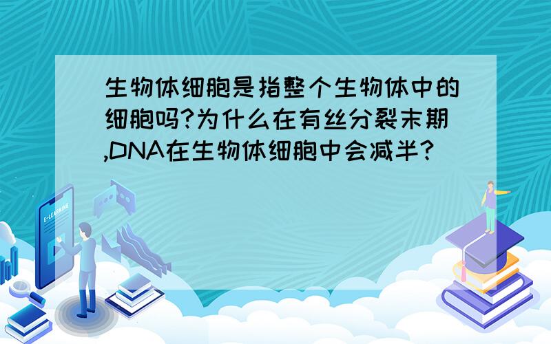 生物体细胞是指整个生物体中的细胞吗?为什么在有丝分裂末期,DNA在生物体细胞中会减半?