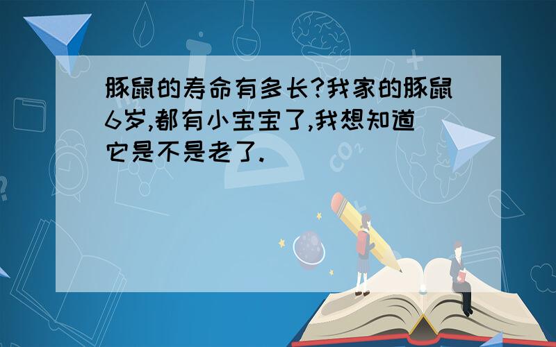 豚鼠的寿命有多长?我家的豚鼠6岁,都有小宝宝了,我想知道它是不是老了.