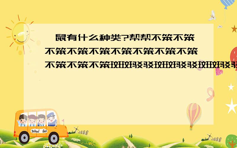 豚鼠有什么种类?帮帮不笨不笨不笨不笨不笨不笨不笨不笨不笨不笨不笨不笨斑斑驳驳斑斑驳驳斑斑驳驳八佰伴4444444444444444444444444444444