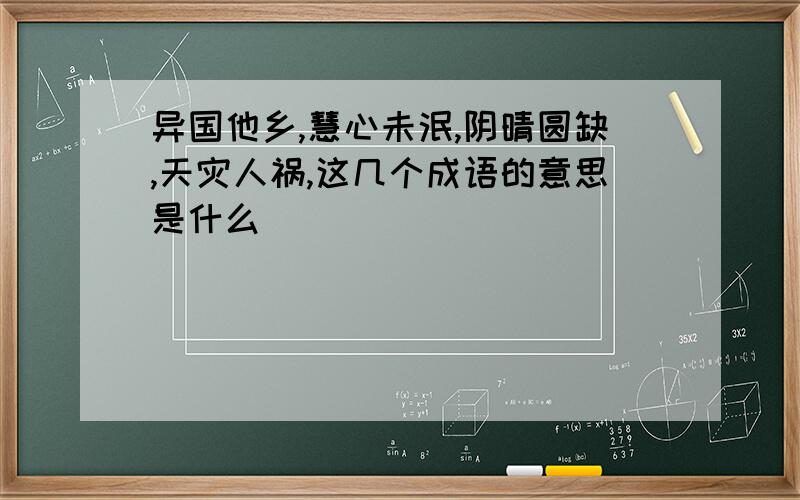 异国他乡,慧心未泯,阴晴圆缺,天灾人祸,这几个成语的意思是什么