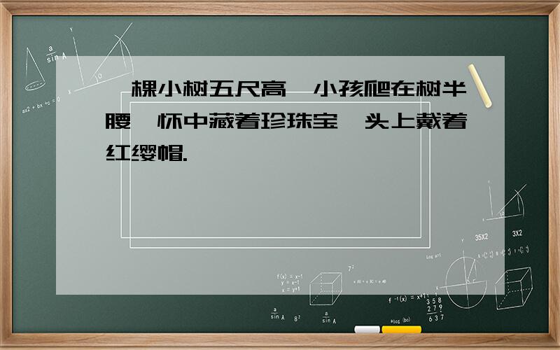 一棵小树五尺高,小孩爬在树半腰,怀中藏着珍珠宝,头上戴着红缨帽.