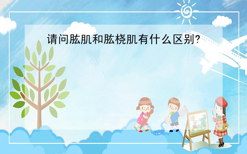 请问肱肌和肱桡肌有什么区别?