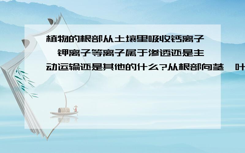 植物的根部从土壤里吸收钙离子,钾离子等离子属于渗透还是主动运输还是其他的什么?从根部向茎、叶运输呢