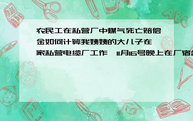 农民工在私营厂中煤气死亡赔偿金如何计算我姨姨的大儿子在一家私营电缆厂工作,11月16号晚上在厂宿舍住宿11月17号早晨有厂中工作人员发现我弟弟已煤气中毒死亡,其中还有两个重症患者,