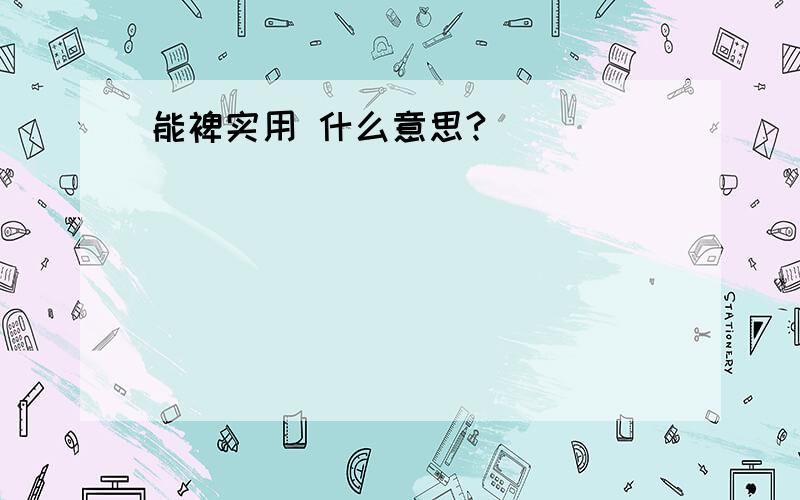 能裨实用 什么意思?