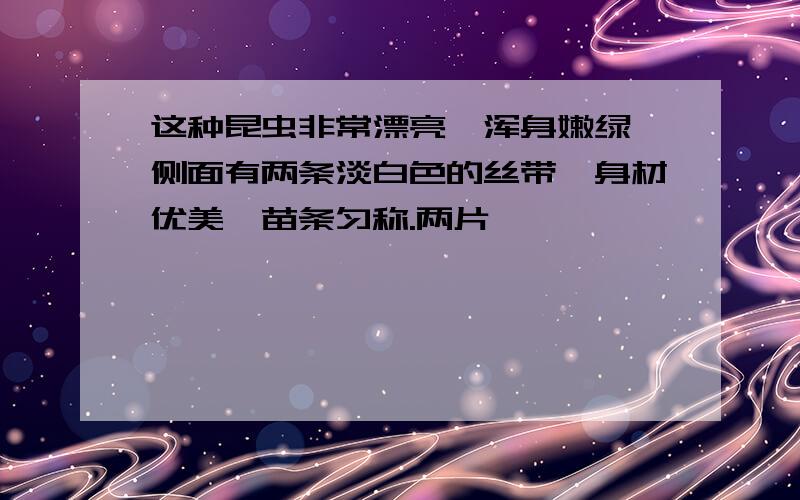 这种昆虫非常漂亮,浑身嫩绿,侧面有两条淡白色的丝带,身材优美,苗条匀称.两片